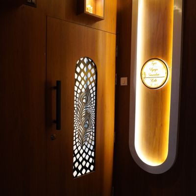 Plywood Safety Doors